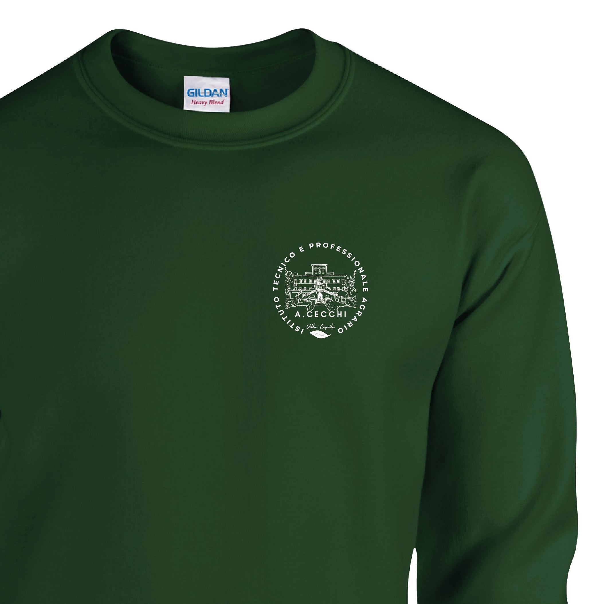 Felpa Girocollo Forest Green